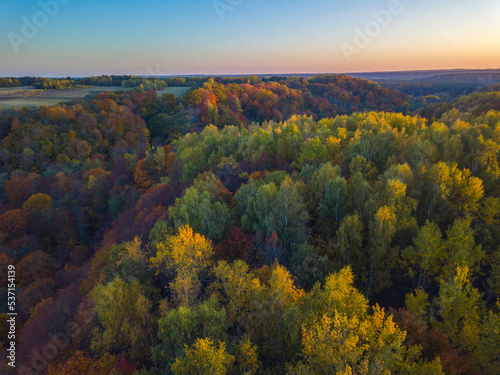 Autumn landscape view with golden color trees