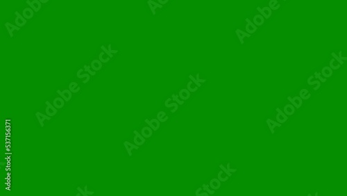 Mail inbox notification icon animation isolated on white background and green screen