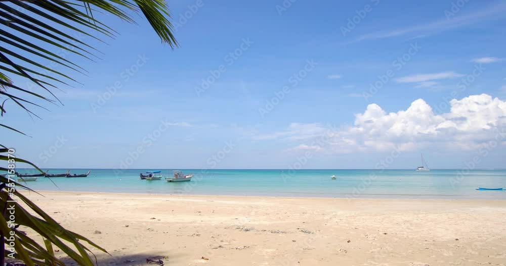beach with palm trees beach with palm trees