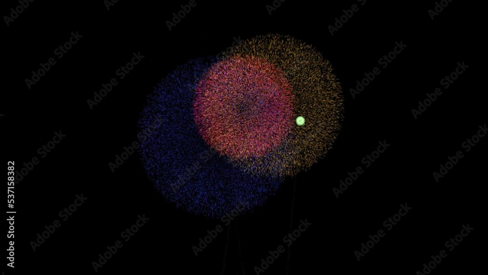 Animation Fireworks New year festival fireworks on black background. Fireworks festival Animation Fireworks New year festival fireworks on black background. Fireworks festival