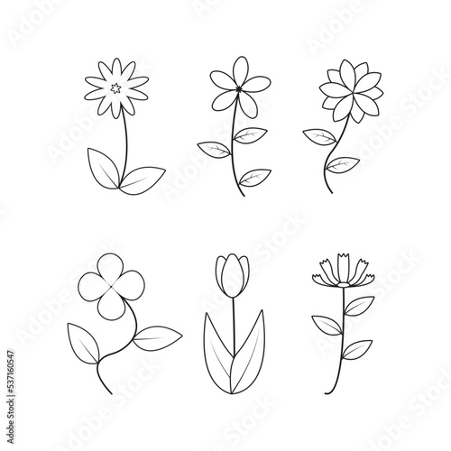 flower set with leaves with branches  natural set for design.