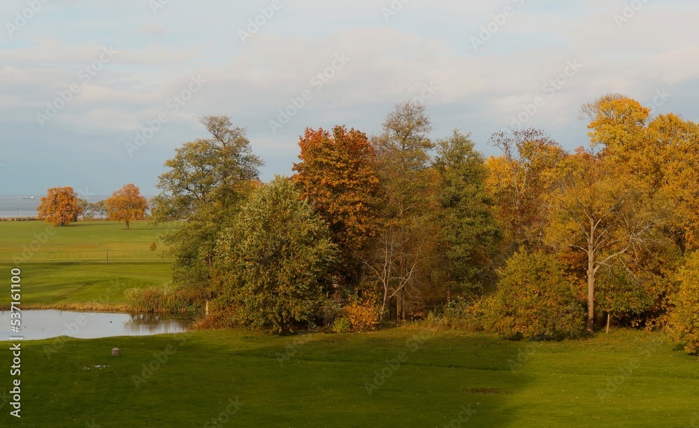 autumn landscape with trees autumn landscape with trees