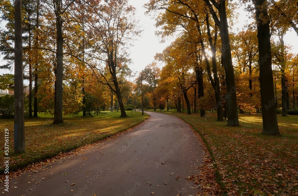 autumn in the park