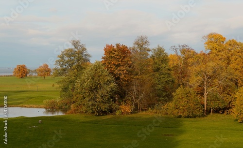 autumn landscape with trees