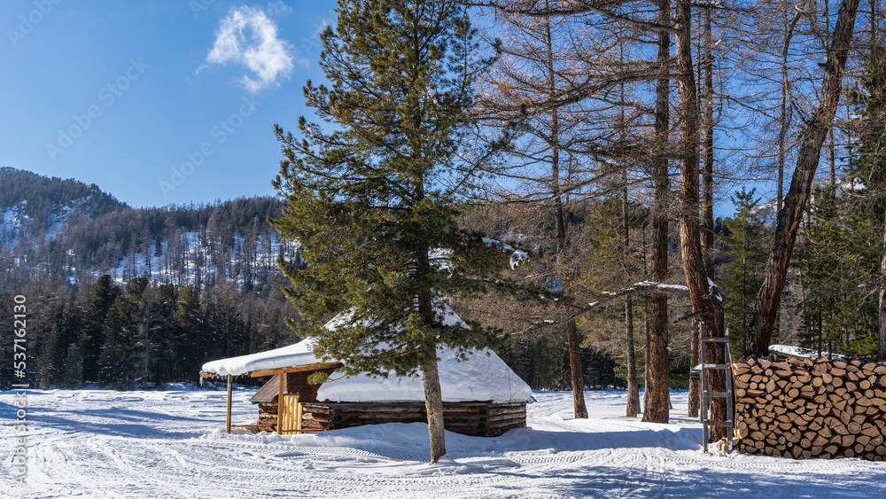 The traditional Altai log house ail stands in a snow-covered valley. A layer of snow on the pyramidal roof. A woodpile is stacked nearby. Tire tracks all around. A wooded mountain against a blue sky. The traditional Altai log house ail stands in a snow-covered valley. A layer of snow on the pyramidal roof. A woodpile is stacked nearby. Tire tracks all around. A wooded mountain against a blue sky.
