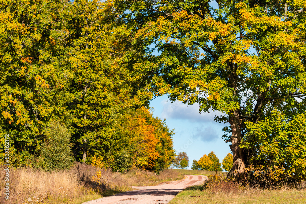 Herbstlandschaft Laubfärbung