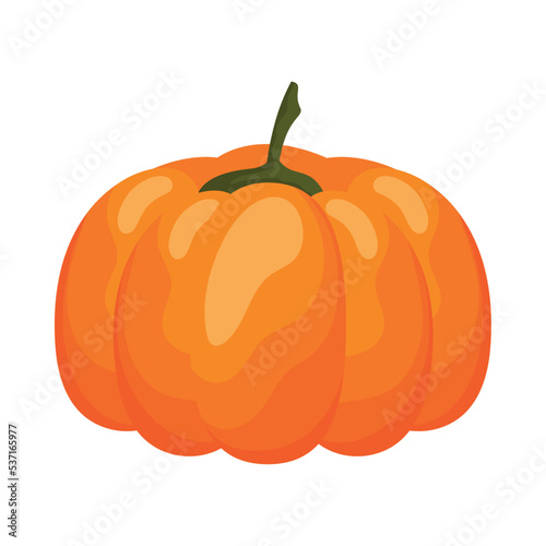 pumpkin autumn season