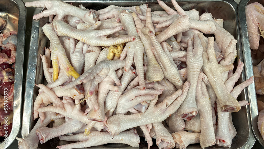 Raw chicken and its part such as thighs, wings and claws Raw chicken and its part such as thighs, wings and claws