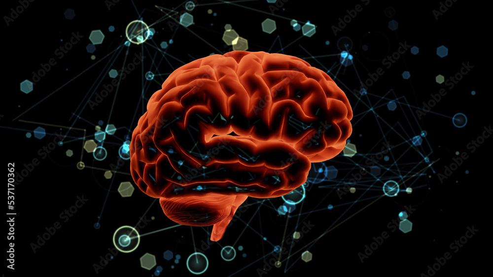 Neuroplasticity. Rewiring brain. Network of connected lines, dots ...