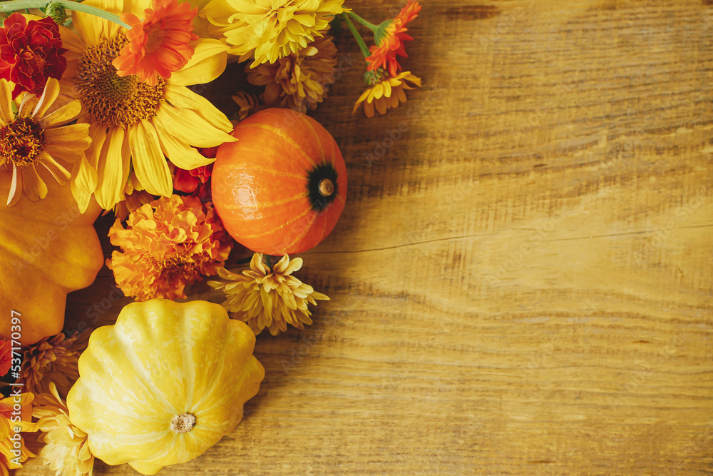 Autumn rustic banner. Colorful autumn flowers, pumpkins, pattypan squashes on wooden table. Seasons greeting card template, space for text. Harvest in countryside. Happy Thanksgiving!