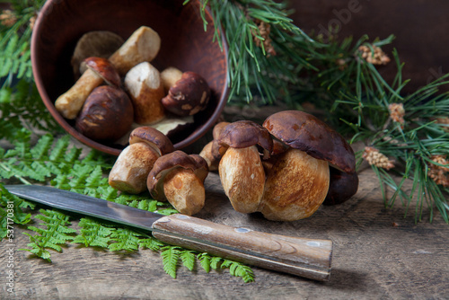 Imleria Badia or Boletus badius mushrooms commonly known as the bay bolete, clay bowl with mushrooms and knife on vintage wooden background..