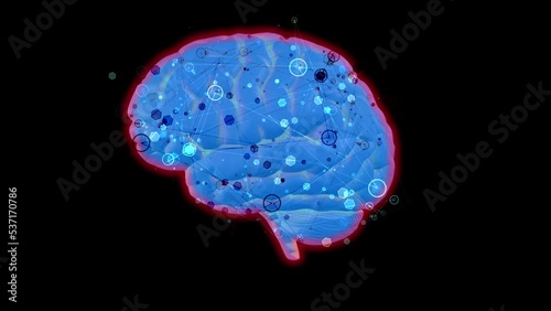 Neuroplasticity. Rewiring brain. Network of connected lines, dots moving around human brain. 3d animation rendering