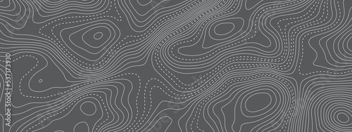 Black and white wavy abstract topographic map contour, lines Pattern background. Topographic map and landscape terrain texture grid. Wavy banner and color geometric form. Vector illustration.