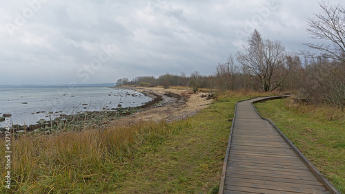 Wood walkway thorugh the wilderness of Pljasaare park on the Baltic sea ccoast near Tallin  Estonia  on a cloudy winter day