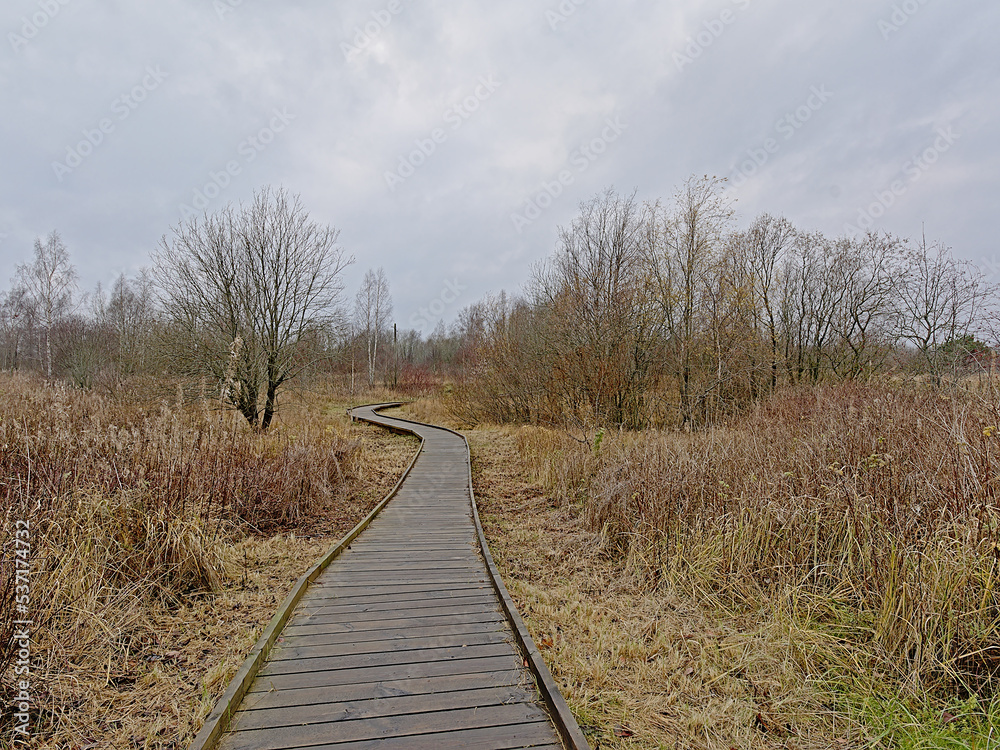 Boardwalk along wetlands and forests of Paljasaare peninsula near Tallinn, Estonia 