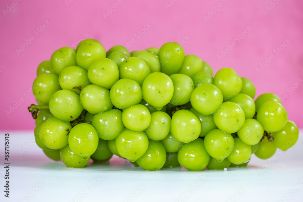 Shine Muscat grapes on white table and pink background Shine Muscat grapes on white table and pink background