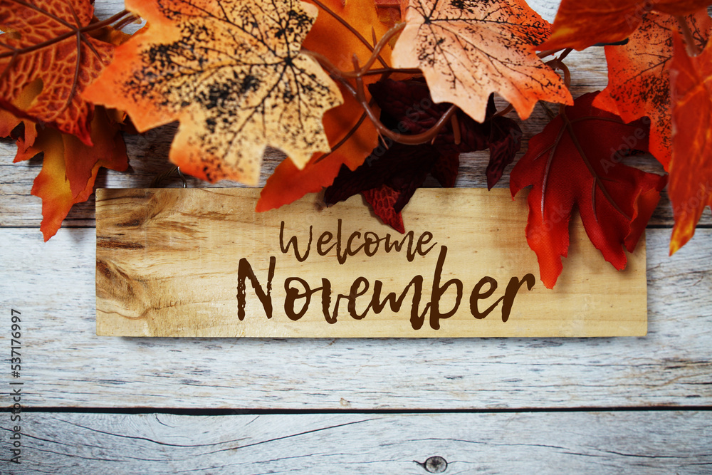November text message written on sign board hanging with autumn