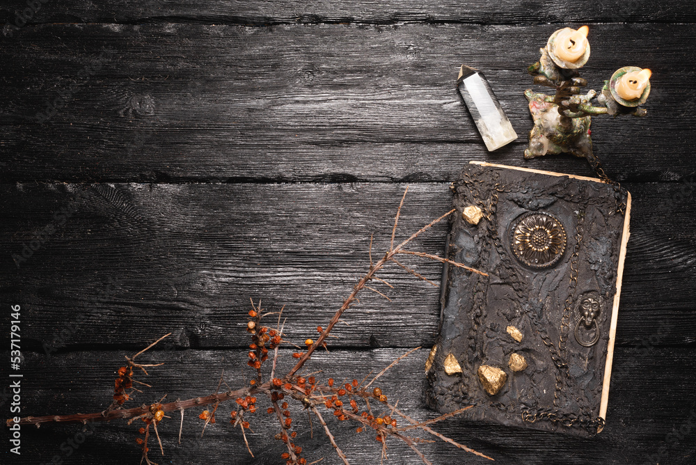 Old magic book and dry tree branch on the wooden table flat lay background with copy space. Old magic book and dry tree branch on the wooden table flat lay background with copy space.