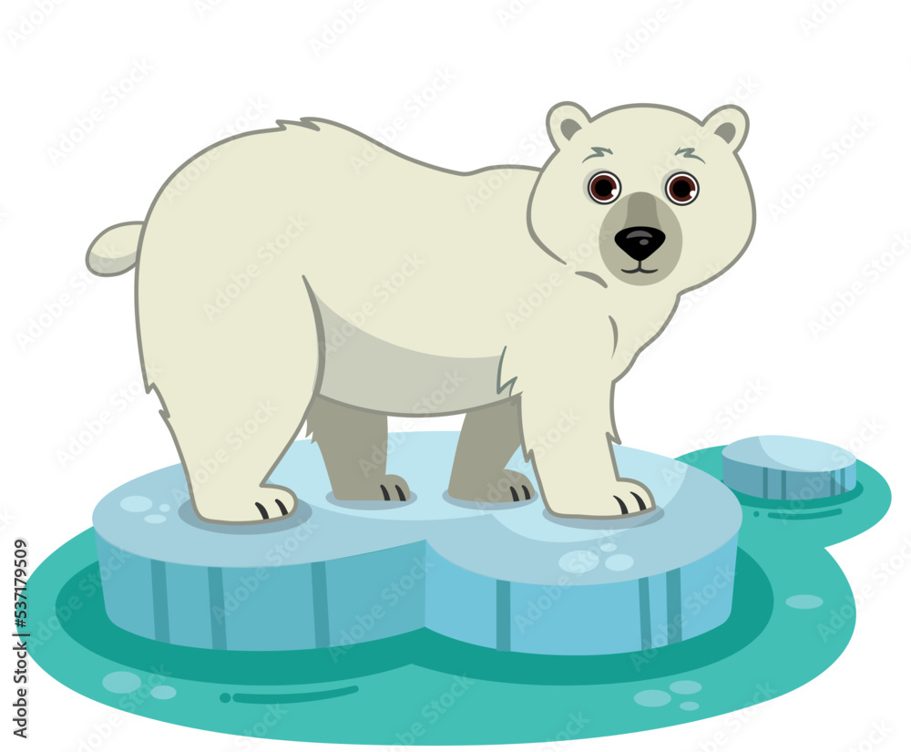 Vector illustration of a polar bear on an ice floe. Vector illustration of a polar bear on an ice floe.