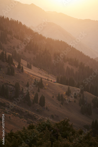 Scenery view on mountain slopes with spruce trees at golden hour.