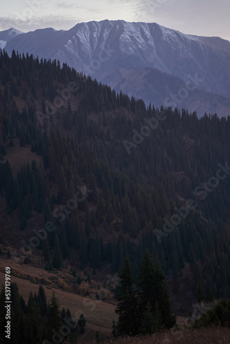 Evening landscape in the mountains covered with snow. Vertical orientation.