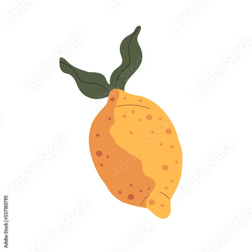 Lemon with leaf. Whole citrus fruit with yellow skin. Exotic tropical healthy vitamin food. Ripe sour limon. Flat vector illustration isolated on white background