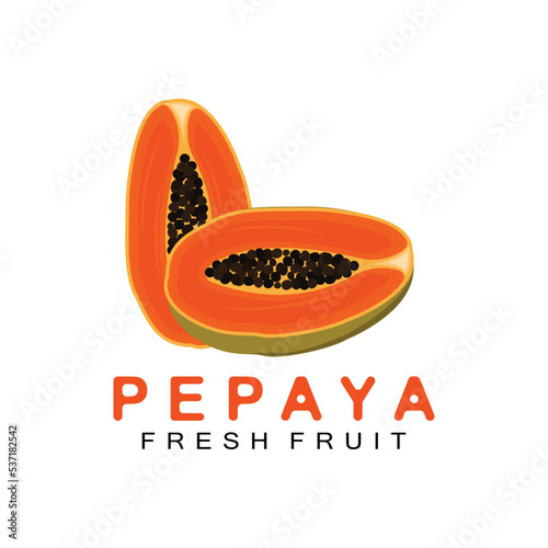 Textured Orange Fruit Design Papaya Logo, Papaya Tree Brand Product Label Vector, Fruit Market