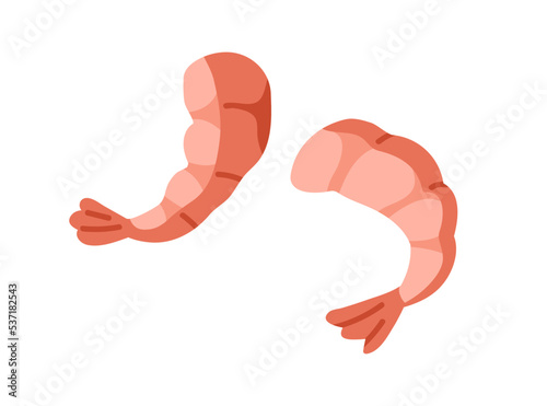 Fresh shrimps tails, sea food. Cooked boiled headless prawns. Fleshy marine nutrition, eating, seafood appetizer. Flat vector illustration isolated on white background