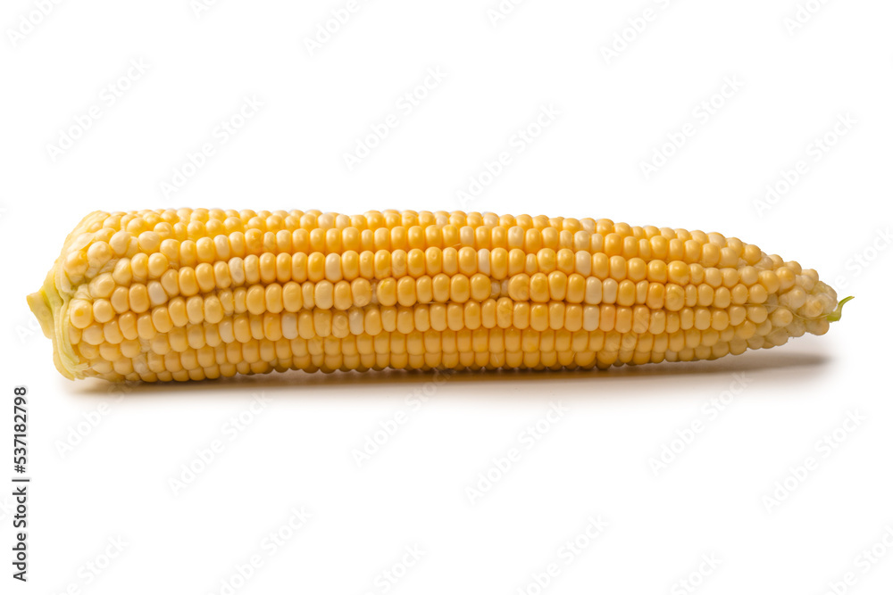 Yellow sweet corn isolated on white background. Copyspace. Yellow sweet corn isolated on white background. Copyspace.