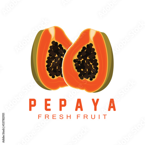Textured Orange Fruit Design Papaya Logo, Papaya Tree Brand Product Label Vector, Fruit Market