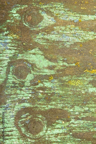 Old grungy weathered plywood sheet with peeling green paint. photo