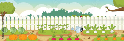Cute and nice design of vegetable plot and interior objects vector design