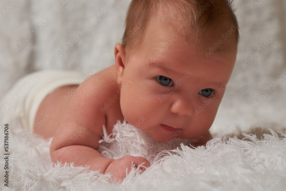 Portrait of a newborn baby lying on a soft, fluffy surface Portrait of a newborn baby lying on a soft, fluffy surface