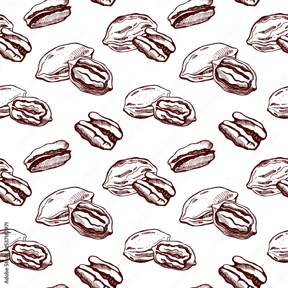 Vector seamless pattern with pecan nuts on a white background. Vegan food illustration. Vector seamless pattern with pecan nuts on a white background. Vegan food illustration.