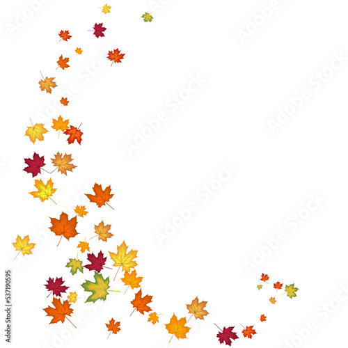 Wallpaper Mural Autumn Maple Frame Torontodigital.ca