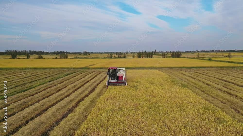 Rural modern agricultural mechanization harvest autumn bumper harvest Rural modern agricultural mechanization harvest autumn bumper harvest