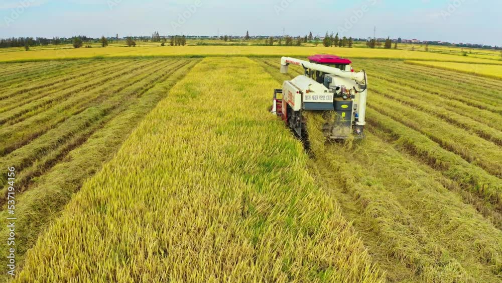 Rural modern agricultural mechanization harvest autumn bumper harvest