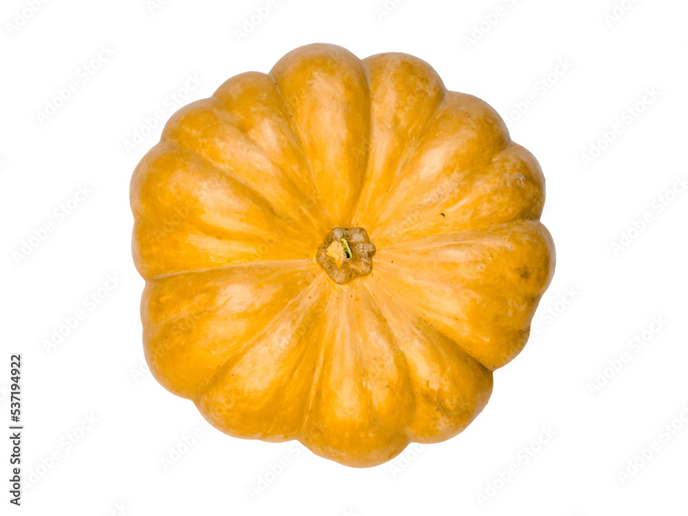 round orange pumpkin top view round orange pumpkin top view