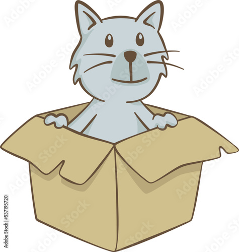 Nice cat inside a cardboard box. Cute illustration of a little cat smiling inside a cardboard box. Vector illustration on white background.