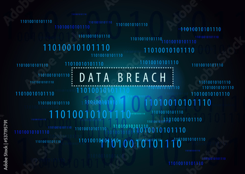 data breach text