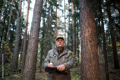 forester man conducts monitoring in pine national park. environmental Protection. forest industry