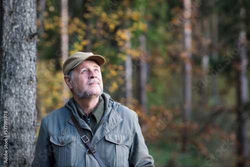 portrait of elderly man. forester conducts monitoring in pine national park. environmental Protection. forest industry