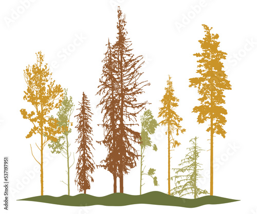 Autumn woodland, silhouette of bare tree, trees with leaves and spruces tree and pines. Vector illustration