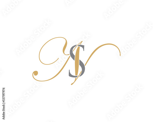 Letter S and N Logo Icon 001