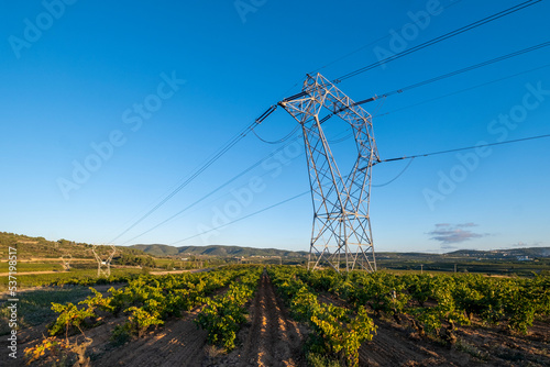 Tower of high-voltage cables between fields of vineyards in the Subirats region in the Penedes denomination of origin area in Barcelona photo