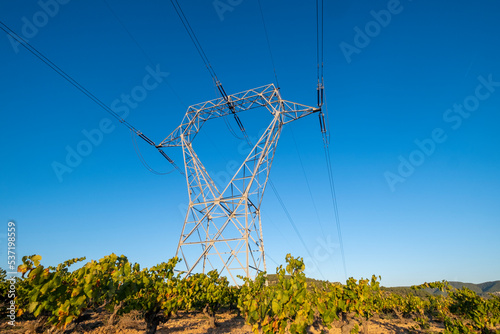 Tower of high-voltage cables between fields of vineyards in the Subirats region in the Penedes denomination of origin area in Barcelona photo