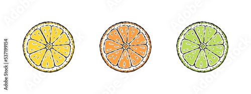 Doodle lemons. Lemon lime and orange. Drawn fruits. Vector illustration