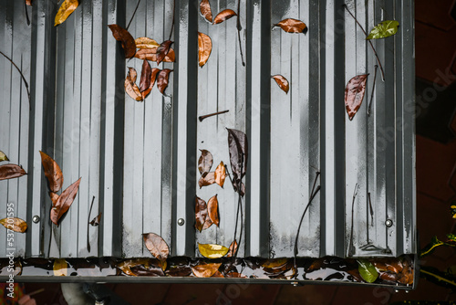 Leaves fallen over the roof during rain shower 