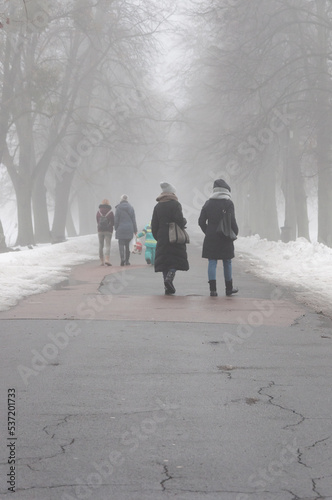 A portrait shot of people walking in the foggy alley at Holosiivskyi National Nature Park, Kyiv, Ukraine