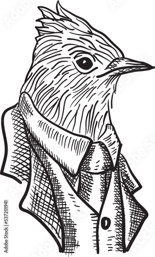 Skylark illustrations